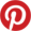 Connect with Dragonwyck Web Design LLC on Pinterest